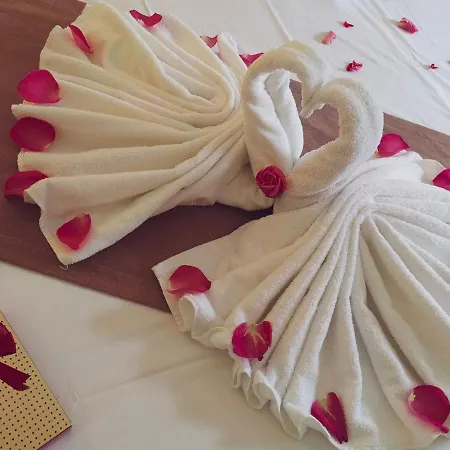 Palma 酒店 布尔加斯